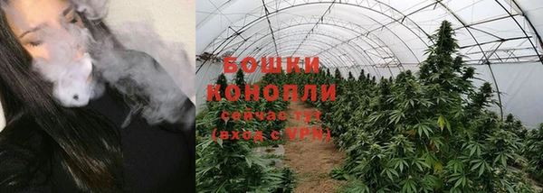 кокс Михайлов