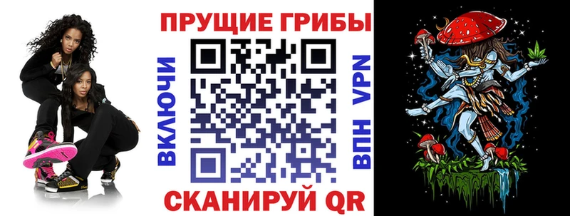 купить   Кадников  Галлюциногенные грибы Cubensis 